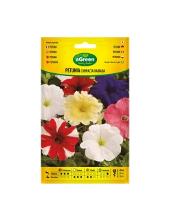 AGREEN - À propos de la variété graines de pétunia compactes 300678bolsh daccord - agreen