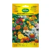 AGREEN - À propos des graines fleurs mélangées roches et bords 300595bolsh daccord - agreen