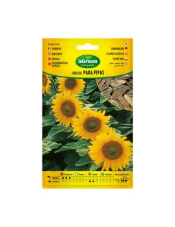 AGREEN - Graines de tournesol pour tuyaux 301024bolsh daccord - agreen