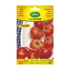 AGREEN - Sur semences suspendues tomate mallorquin 000714bolsh daccord - agreen
