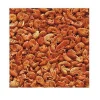 ANIMALLPARADISE - Gammarus, aliment naturel pour aquariophilie 100 g pour tortues d'eau