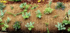 AQUAGART - 200 m filet anti-érosion en fibre de coco 1 m de large, film pour bassin de jardin, toile en fibre de noix de coco 750 g