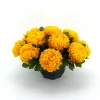 ARCHE DIFFUSION - Coupe de chrysanthèmes artificiels, 14 têtes - Jaune