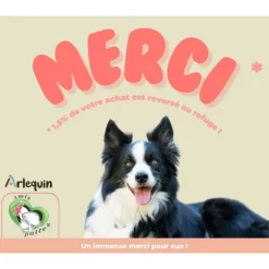 ARLEQUIN ORIGINELLE - Croquette chien sans céréales arlequin originelle saumon truite 12 kg