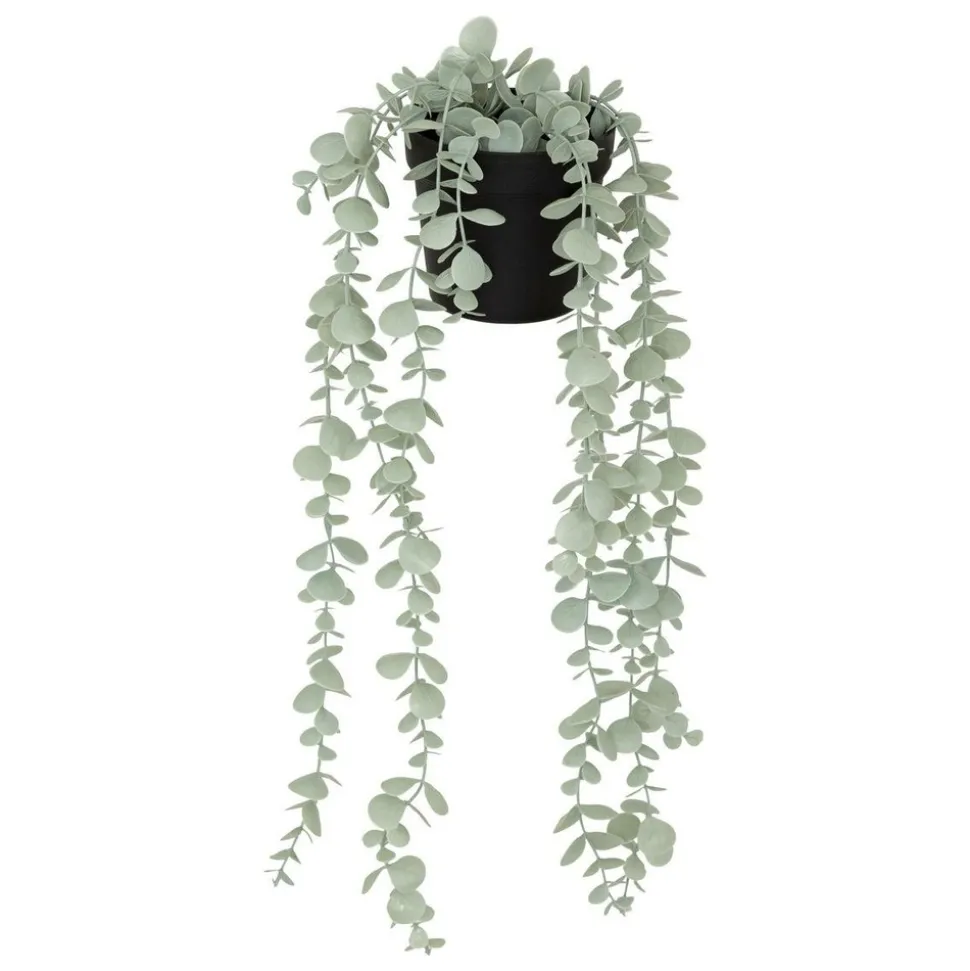 ATMOSPHERA CREATEUR D'INTERIEUR - Eucalyptus artificiel en pot "merly" vert h51cm