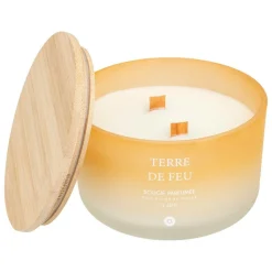ATMOSPHERA CREATEUR D'INTERIEUR - Bougie parfumée "terre des merveilles" bouquet de lila 420g