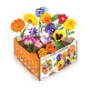 BATLLE - Boîte de fleurs comestibles batlle