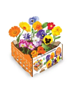 BATLLE - Boîte de fleurs comestibles batlle