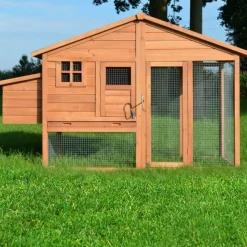 BB LOISIR - Poulailler de luxe en bois pour jardin exterieur 2-5 poules cage canard 2 perchoir nichoir 190 x 67 x 117 cm