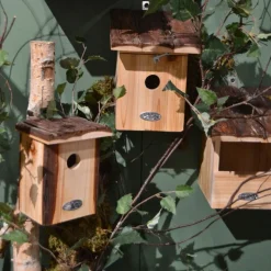BEST FOR BIRDS - Nichoir pour oiseaux avec toît en écorce roitelet