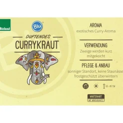 BIOLAND - Herbe de curry de qualité bio - helichrysum angustifolia - plante aromatique en pot de 12cm