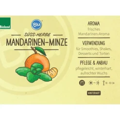 BIOLAND - Menthe mandarine bio - mentha x piperita - plante aromatique en pot de 12cm