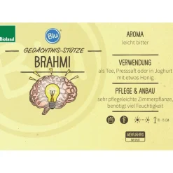 BIOLAND - Mémoire brahmi de qualité bio - bacopa monnieri - plante aromatique en pot de 12cm