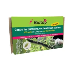 BIOTOP - Chrysope 300 oeufs