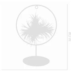 BLOOMIQUE - Bloomique - tillandsia magic ball en anneau - plante aérienne - plante d’intérieur - 30 cm de haut