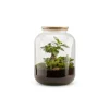 Bonbonne classic S Ginseng