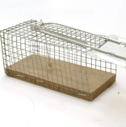 CAUSSADE - Casnassbn - nasse à souris - en bois fsc - 1 nasse
