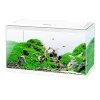 CIANO - Aquarium Ciano - 58 Litres