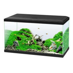 CIANO - Aquarium équipé noir - 60 litres