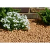CLASSGARDEN - Gravier jaune saumon 10-15 pack de 5 m² - 30 sacs - 600 kg