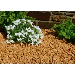 CLASSGARDEN - Gravier jaune saumon 10-15 pack de 5 m² - 50 sacs - 1000 kg