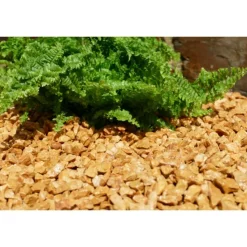 CLASSGARDEN - Gravier jaune saumon 10-15 pack de 5 m² - 14 sacs - 240 kg