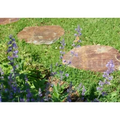 CLASSGARDEN - Pas japonais corten irrégulier - pack de 16 pièces