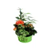 Composition pot zinc - Coloris variables