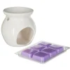 COMPTOIR DE LA BOUGIE - Brûle-parfum & cire 30g lavande