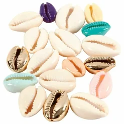 CREOTIME - 75 perles coquillage 20 mm - multicolore