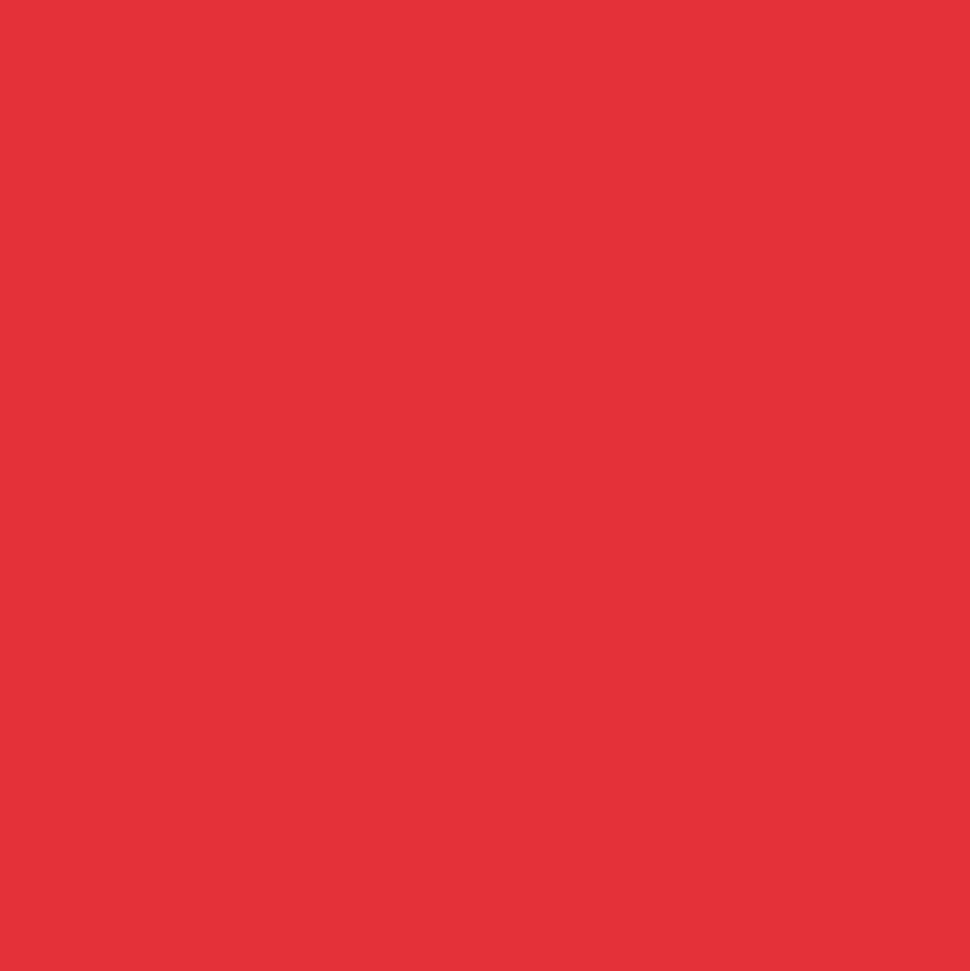 CRICUT - Vinyle amovible rouge mat 121,9 x 13,9 cm - cricut joy