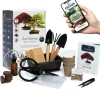 CULTIVEA - Cultivea kit bonsaï premium prêt à pousser
