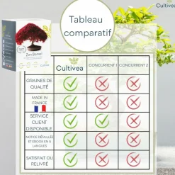 CULTIVEA - Kit prêt à Pousser 6 Bonsaïs avec accessoires - Red Mapple, Chinese Cercis, Albizia, Cornus Kousa, Norway Spruce, Juniperus