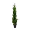 Cupressocyparis leylandii '2001' pot 30L