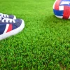 DÉCOWEB - Gazon synthétique versailles - 40mm - rouleau de 3m x 9m