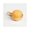 DEBAERE - Jaune paille des vertus bulbes d'oignons a repiquer 500gr