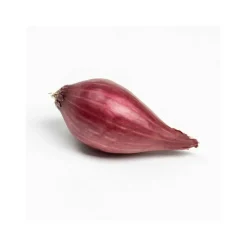 DEBAERE - Red karmen (rouge) bulbes d'oignons a repiquer 500gr