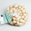 DEBAERE - Snowball (blanc) bulbes d'oignons a repiquer 500gr