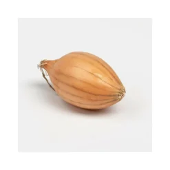 DEBAERE - Sturon bulbes d'oignons a repiquer 500gr