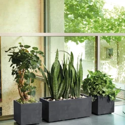 DEROMA - Bac cubo Millennium, à réserve d'eau, coloris anthracite - L.25cm