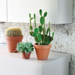 DEROMA - Pot Horticole en terre cuite Ø 21 x H. 19cm