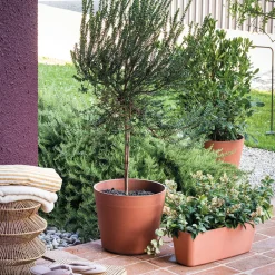 DEROMA - Pot Vaso Origin Cotto, coloris marron - D.48cm