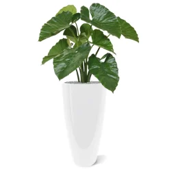 DESIGN PLANTS - Alocasia calidora en bouquet artificiel de 70 cm