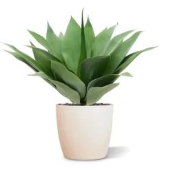 DESIGN PLANTS - Bouquet d’ agave artificiel 50 cm uv