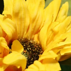 DESIGN PLANTS - Bouquet d'art artisanal sunny barcelona - orange/jaune
