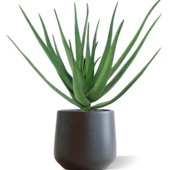 DESIGN PLANTS - Bouquet d'aloès artificiel deluxe 60 cm