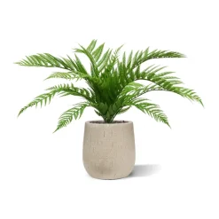 DESIGN PLANTS - Fougère alsophilla bouquet artificiel de 60 cm uv
