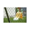 DIRICKX INDUSTRIES - Grillage simple torsion plastex premier 5024 vert 1m00-25ml