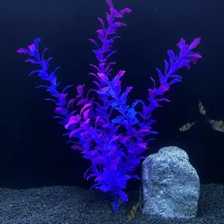 DOWNYPAWS - 5 ornements de plantes aquatiques artificielles pour aquarium de 30 cm