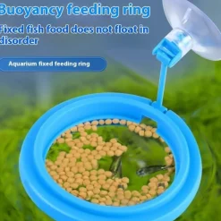 DOWNYPAWS - Anneau nourrisseur flottant anti-dispersion pour aquarium